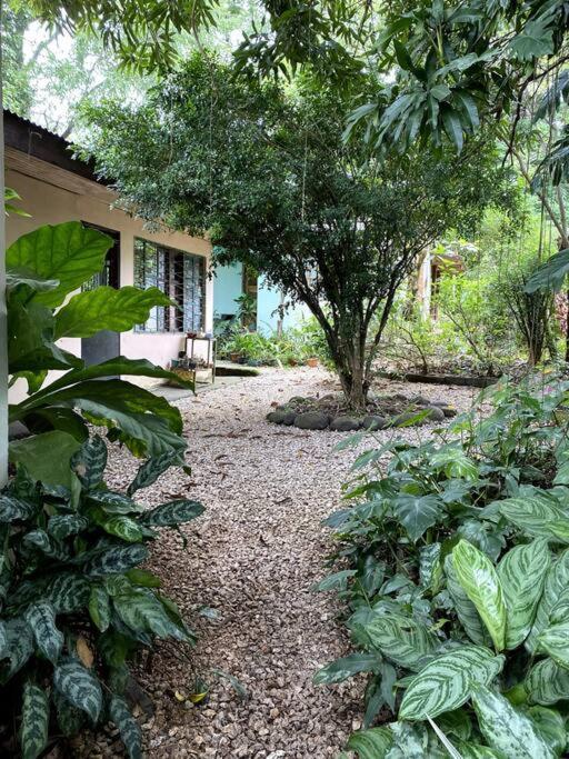 Casa Briza Guest House Nicoya Exterior photo